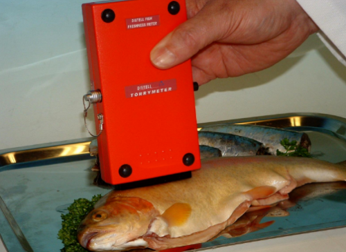 鱼类新鲜度测量仪